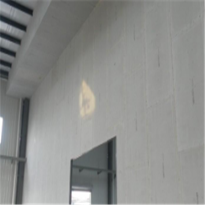 吉水宁波ALC板|EPS加气板隔墙与混凝土整浇联接的实验研讨
